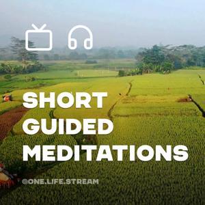 Short Guided Meditations by One Life Stream