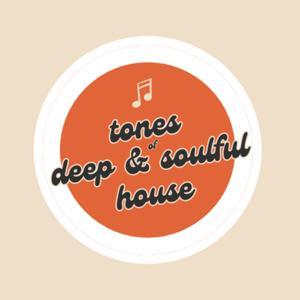 tones of deep and soulful house by tdsh