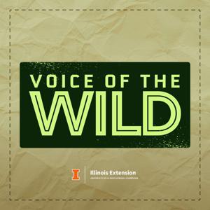 Voice of the Wild by University of Illinois Extension