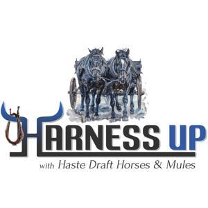 Harness Up! with Haste Draft Horses and Mules by Haste Draft Horses and Mules