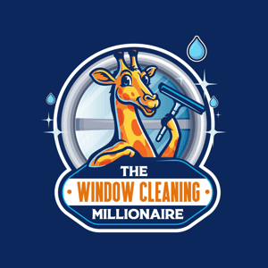 The Window Cleaning Millionaire by Ryan Johnson