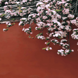 公考积累|申论面试文章时评精读 by 日拱一卒的水月