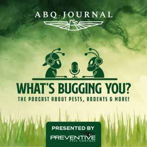 What's Bugging You? by Albuquerque Journal