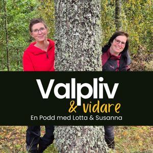 Valpliv & Vidare by Susanna & Lotta