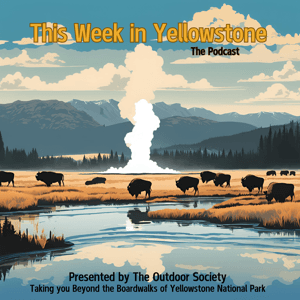 This Week in Yellowstone National Park by Scott
