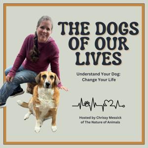 The Dogs of Our Lives by Chrissy Messick