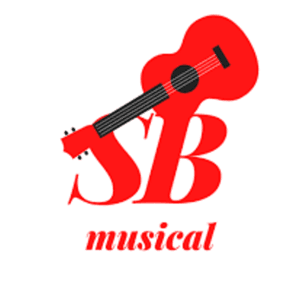 𝒮𝐵 music by Salman Butt