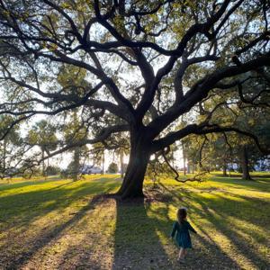 The Pursuit of Beauty with Matthew Wilkinson by Matthew Wilkinson