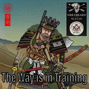 The Way is in Training by Matthew Little