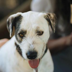 What's the Problem? by Ehlers Estate