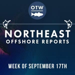Northeast Offshore Fishing Report by On The Water