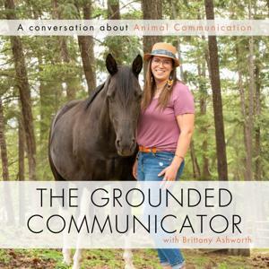 The Grounded Communicator by Brittany Ashworth | Sacred Echos