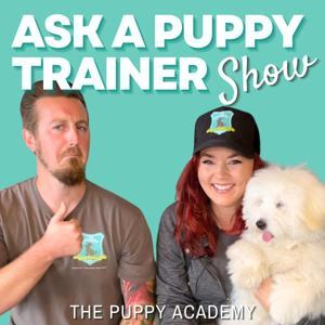 Ask A Puppy Trainer Show by The Puppy Academy