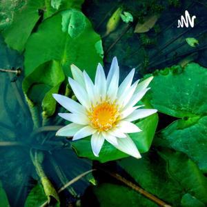 怎会舍得错过你 by 彭嘉俊