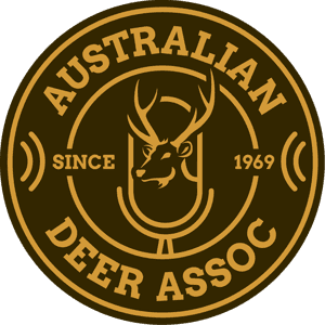 Australian Deer by australiandeer