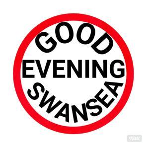 Good Evening Swansea by Jack and Ant