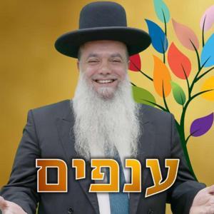 הרב יגאל כהן - שיעורים שבועיים by הרב יגאל כהן | ענפים