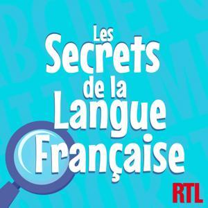 Les secrets de la langue française : orthographe, grammaire et conjugaison by RTL