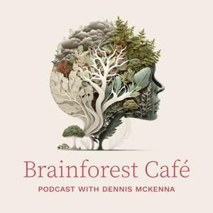Brainforest Café by McKenna Academy of Natural Philosophy