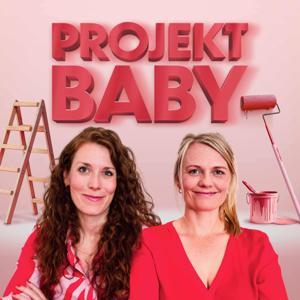 Projekt Baby - Mit Plan durch Schwangerschaft, Geburt und Wochenbett by Sonja Gillert und Franziska von Moers