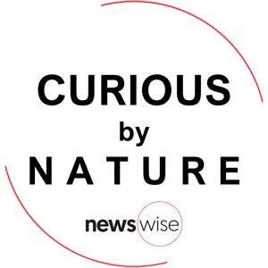Curious by Nature by Newswise Inc.