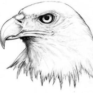 扎心语录 by 鬼才三哥