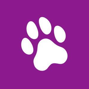 Fell und Führbügel by DBSV – Deutscher Blinden- und Sehbehindertenverband e.V.