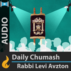 Daily Chumash in English by Chabad.org: Levi Avtzon
