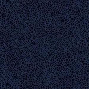 Murat Koç by Murat Koç