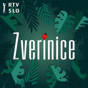 Zverinice by RTVSLO – Prvi