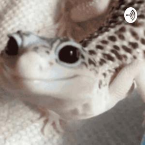 Asmr talks by Asmr talks