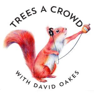 Trees A Crowd by David Oakes