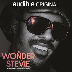 The Wonder of Stevie by Higher Ground, Pineapple Street Studios