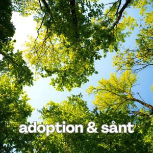Adoption & sånt by Podd: Adoption & sånt