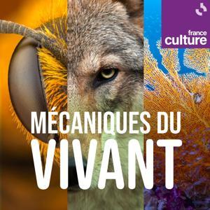 Mécaniques du vivant by France Culture