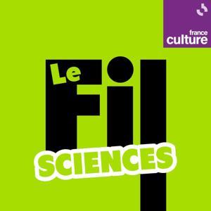 Le Fil sciences by France Culture