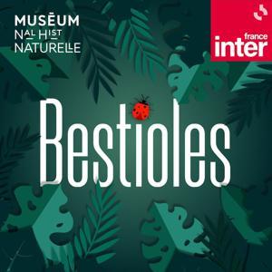 Bestioles by France Inter