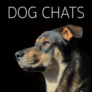 Dog Chats by Dog Chats