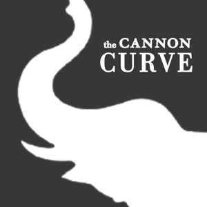 The Cannon Curve by Cannon Financial Institute
