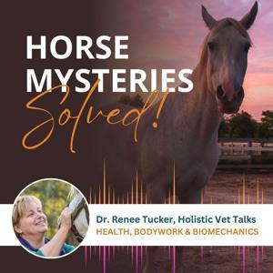 Horse Mysteries Solved! by Renee