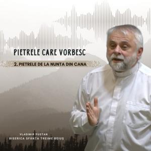 Pietrele care vorbesc by Vladimir Pustan