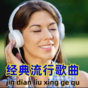 百听不厌经典流行歌曲 by 只爱好声音