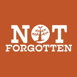 NOT FORGOTTEN: Stories of Utah's Dixie by Lyman Hafen