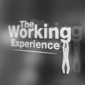 The Working Experience by John Brancaccio | Matt Kerr