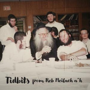 Tidbits from Reb Meilach a”h by Reb Meilach Zwiebel