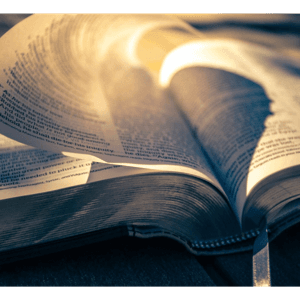 The Holy Bible - English by Zeres Vitto