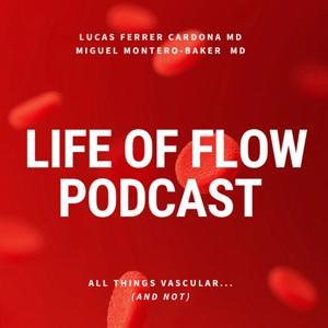 Life of Flow by Lucas Ferrer and Miguel Montero-Baker