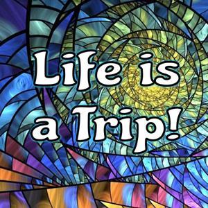 Life is a Trip! Reincarnation and Afterlife Stories by Brownell Landrum