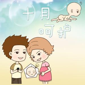 《十月呵护》孕期280天第一季 by 听友18725492