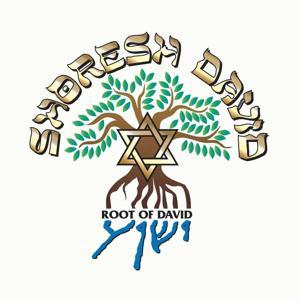 Shoresh David Audio Podcast by Shoresh David Messianic Synagogue of Tampa